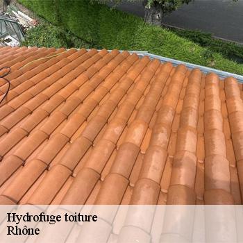 hydrofuge-toiture-69-2