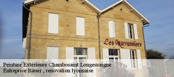 Peinture Extérieure chambosaint-longessaigne-69770 Entreprise Bauer , renovation lyonnaise-4