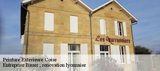 Peinture Extérieure coise-69590 Entreprise Bauer , renovation lyonnaise-4