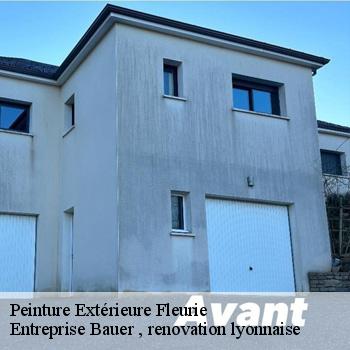 peinture-exterieure-fleurie-1