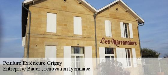 Peinture Extérieure  grigny-69520 Entreprise Bauer , renovation lyonnaise-4