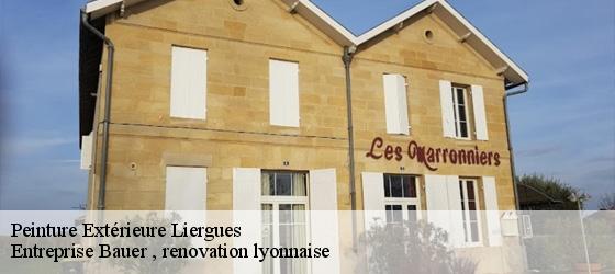 Peinture Extérieure  liergues-69400 Entreprise Bauer , renovation lyonnaise-4