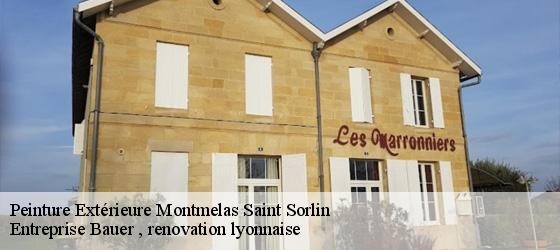Peinture Extérieure  montmelas-saint-sorlin-69640 Entreprise Bauer , renovation lyonnaise-4