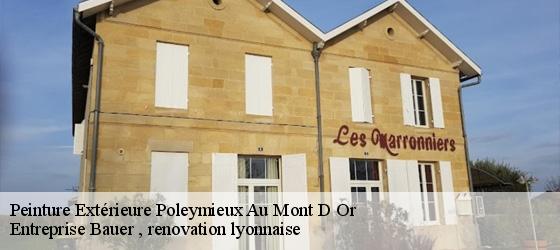Peinture Extérieure  poleymieux-au-mont-d-or-69250 Entreprise Bauer , renovation lyonnaise-4