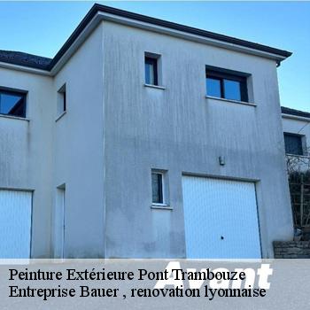peinture-exterieure-pont-trambouze-1