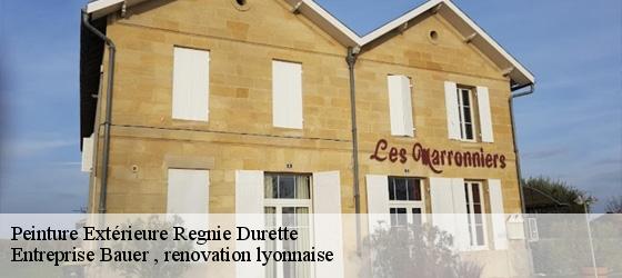 Peinture Extérieure  regnie-durette-69430 Entreprise Bauer , renovation lyonnaise-4
