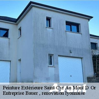 peinture-exterieure-saint-cyr-au-mont-d-or-1
