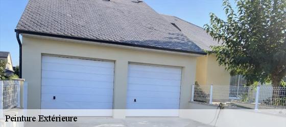 Peinture Extérieure  saint-maurice-sur-dargoire-69440 Entreprise Bauer , renovation lyonnaise-3