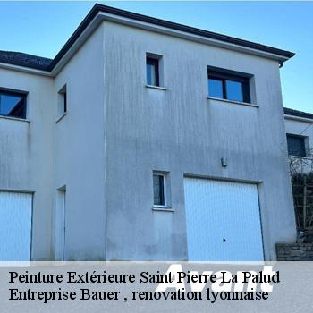 peinture-exterieure-saint-pierre-la-palud-1