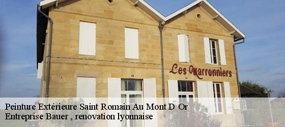 Peinture Extérieure saint-romain-au-mont-d-or-69270 Entreprise Bauer , renovation lyonnaise-4