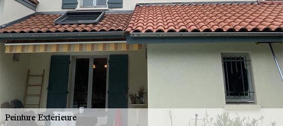 Peinture Extérieure  la-fouillouse-69640 Entreprise Bauer , renovation lyonnaise-6