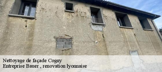 Nettoyage de façade  cogny-69640 Entreprise Bauer , renovation lyonnaise-4
