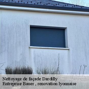 nettoyage-de-facade-dardilly-1