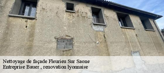 Nettoyage de façade  fleurieu-sur-saone-69250 Entreprise Bauer , renovation lyonnaise-4