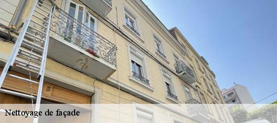 Nettoyage de façade letra-69620 Entreprise Bauer , renovation lyonnaise-6