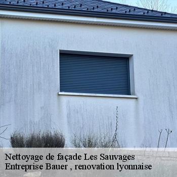 nettoyage-de-facade-les-sauvages-1