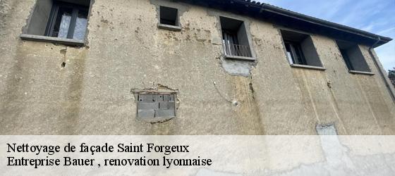 Nettoyage de façade  saint-forgeux-69490 Entreprise Bauer , renovation lyonnaise-4