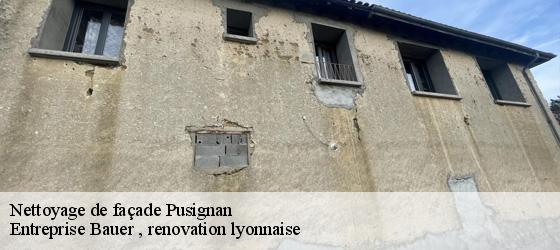 Nettoyage de façade  pusignan-69330 Entreprise Bauer , renovation lyonnaise-4