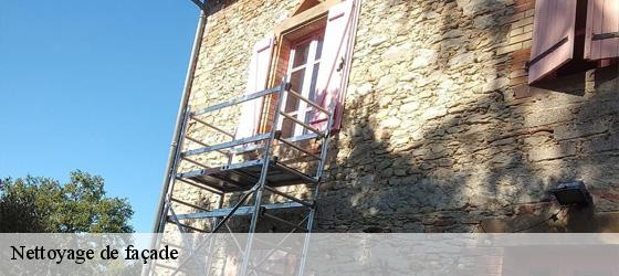 Nettoyage de façade  ternay-69360 Entreprise Bauer , renovation lyonnaise-3