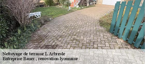 Nettoyage de terrasse l-arbresle-69210 Entreprise Bauer , renovation lyonnaise-4