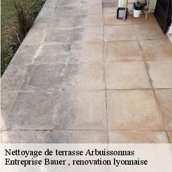 nettoyage-de-terrasse-arbuissonnas-1