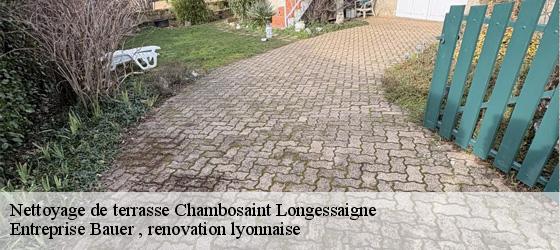 Nettoyage de terrasse chambosaint-longessaigne-69770 Entreprise Bauer , renovation lyonnaise-4