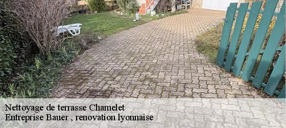 Nettoyage de terrasse chamelet-69620 Entreprise Bauer , renovation lyonnaise-4