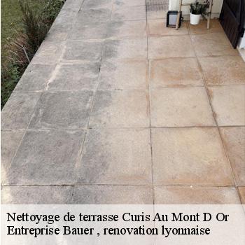 nettoyage-de-terrasse-curis-au-mont-d-or-1