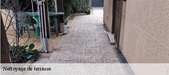 Nettoyage de terrasse  oullins-69600 Entreprise Bauer , renovation lyonnaise-6