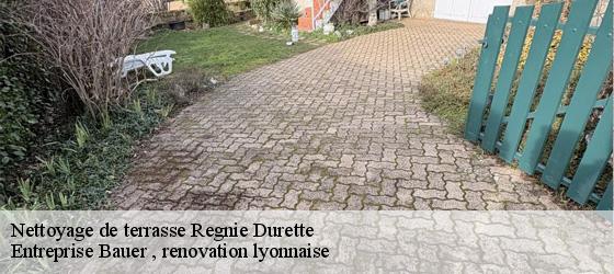 Nettoyage de terrasse regnie-durette-69430 Entreprise Bauer , renovation lyonnaise-4