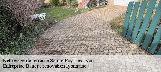 Nettoyage de terrasse  sainte-foy-les-lyon-69110 Entreprise Bauer , renovation lyonnaise-4