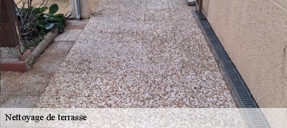 Nettoyage de terrasse  ternay-69360 Entreprise Bauer , renovation lyonnaise-3