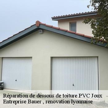 pose-changement-et-peinture-planche-de-rive-joux-1