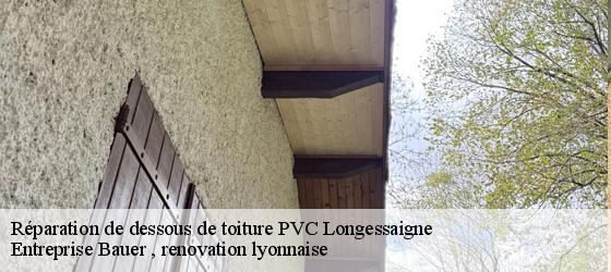 Réparation de dessous de toiture PVC  longessaigne-69770 Entreprise Bauer , renovation lyonnaise-4