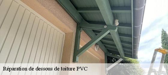 Réparation de dessous de toiture PVC  saint-loup-69490 Entreprise Bauer , renovation lyonnaise-3