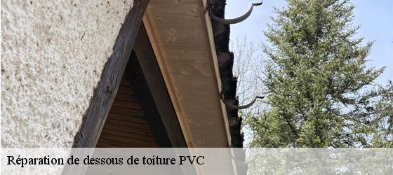 Réparation de dessous de toiture PVC saint-nizier-d-azergues-69870 Entreprise Bauer , renovation lyonnaise-6