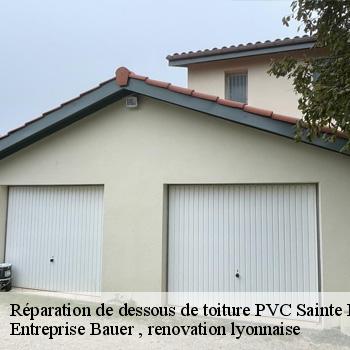 pose-changement-et-peinture-planche-de-rive-sainte-paule-1