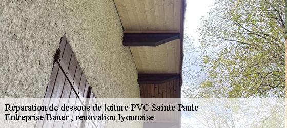Réparation de dessous de toiture PVC  sainte-paule-69620 Entreprise Bauer , renovation lyonnaise-4
