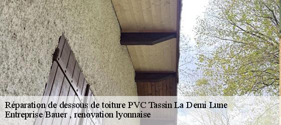 Réparation de dessous de toiture PVC  tassin-la-demi-lune-69160 Entreprise Bauer , renovation lyonnaise-4