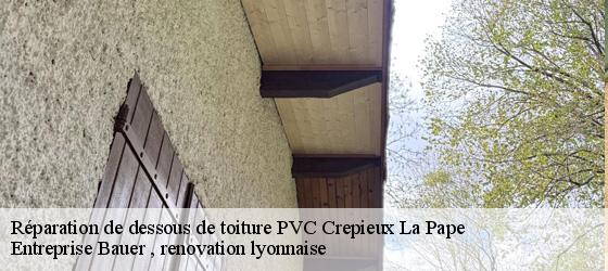 Réparation de dessous de toiture PVC  crepieux-la-pape-69140 Entreprise Bauer , renovation lyonnaise-4