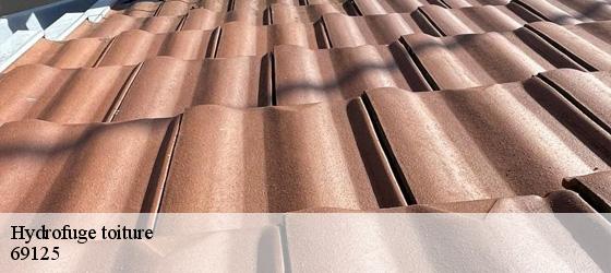 Hydrofuge toiture  satolas-aeroport-69125 Entreprise Bauer , renovation lyonnaise-5