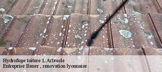 Hydrofuge toiture  l-arbresle-69210 Entreprise Bauer , renovation lyonnaise-4