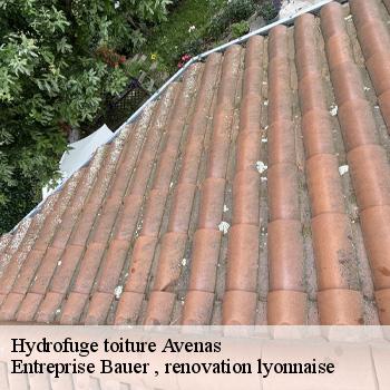 hydrofuge-toiture-avenas-1