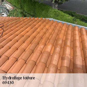 hydrofuge-toiture-beaujeu-2