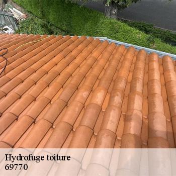 hydrofuge-toiture-chambosaint-longessaigne-2