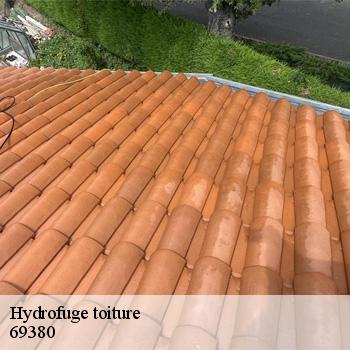 hydrofuge-toiture-les-cheres-2