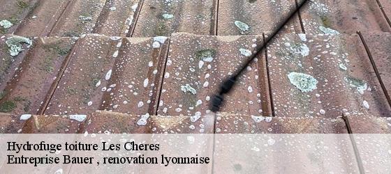 Hydrofuge toiture  les-cheres-69380 Entreprise Bauer , renovation lyonnaise-4