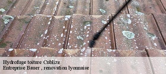 Hydrofuge toiture cublize-69550 Entreprise Bauer , renovation lyonnaise-4