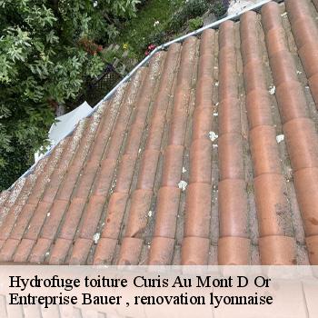 hydrofuge-toiture-curis-au-mont-d-or-1