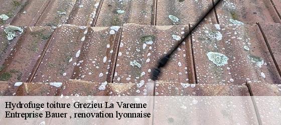 Hydrofuge toiture  grezieu-la-varenne-69290 Entreprise Bauer , renovation lyonnaise-4